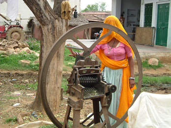 Donna con taglia erba in Rajasthan